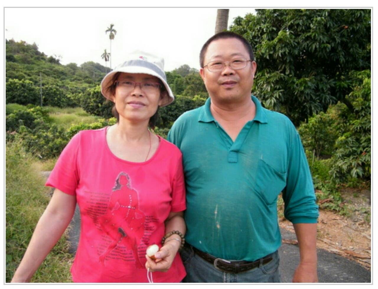 大丁香